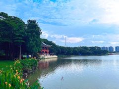 -顺峰山公园