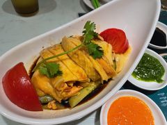 海南鸡-滕记星发餐室·新加坡菜(巨鹿路店)