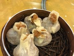 -清真·安乐园菜馆(茶南店)