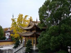 -上海东林寺(金山区)