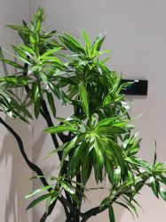 -欧兔博士·O2BOX微高压氧舱