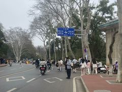 -武汉大学-樱园