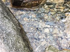 -牛背梁国家森林公园