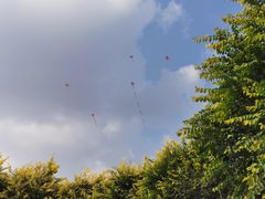 -绿堤公园