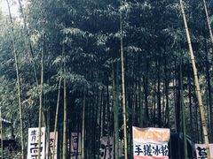 -莫干山风景区