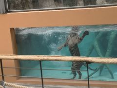 -清迈夜间动物园