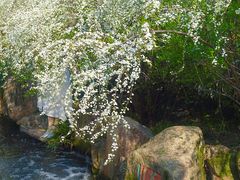 -中国茶叶博物馆(双峰馆区)