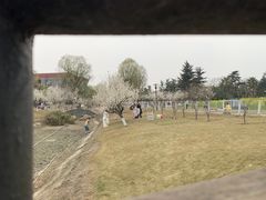 -国际非物质文化遗产博览园