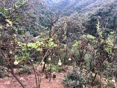 -昆明青龙峡风景区