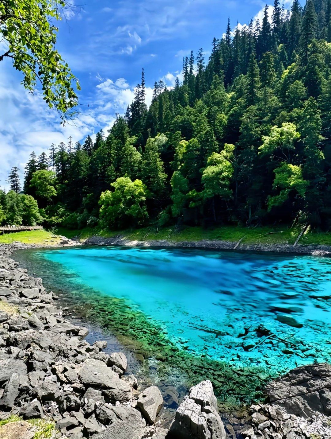 大自然的绝美风景