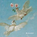 太美了[胜利]简直仙女下凡了一样！