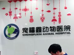 -宠福鑫动物医院(望京分院)