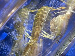 -海都六福酒家(世博广场店)