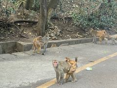 -黔灵山公园