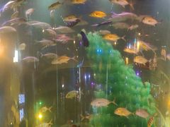 景点-上海欢乐谷