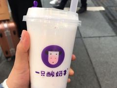 -一只酸奶牛(八一路店)