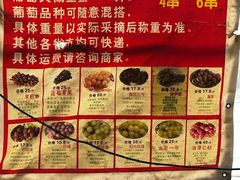 -马陆小张葡萄园农家乐