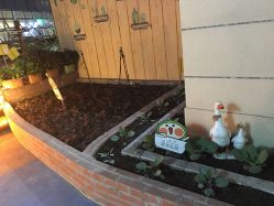 -梦田都市农场(银泰城店)