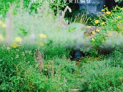 -国家植物园