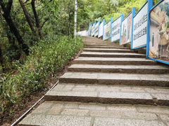 -仙岳公园