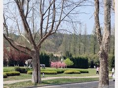-棒棰岛宾馆景区