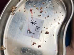 -芭比堂动物医院(广州爱宠下渡路分院)