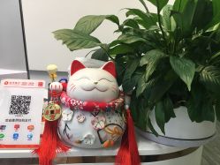 -SKIN79皮肤管理中心