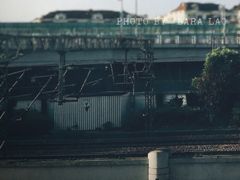 -振鼎鸡(华阴路店)