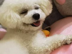 -派特宠物医院(圆融广场店)