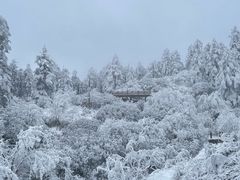 -瓦屋山景区