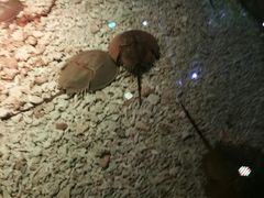 -临沂极地海洋王国