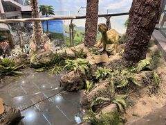 -辽宁古生物博物馆