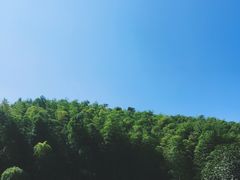 -宁波浙东大竹海景区