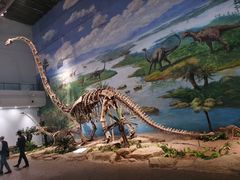 -自贡恐龙博物馆