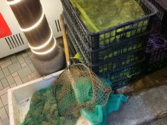 -鸿顺老铁锅美蛙鱼府(解放碑店)