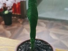 -学习谷日语培训日本留学·多语种外语教学(海淀人大分部)