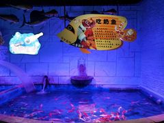 -梦幻海洋王国(吾悦广场张家港店)