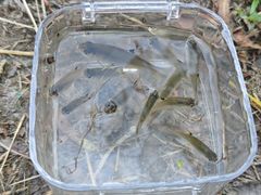 -蓝天路(地铁站)