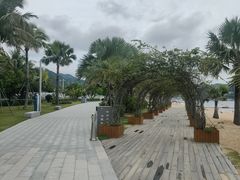 -大梅沙海滨公园