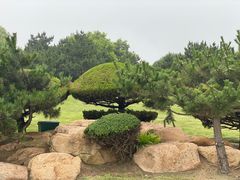 -日照灯塔风景区