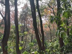 -狼山风景名胜区