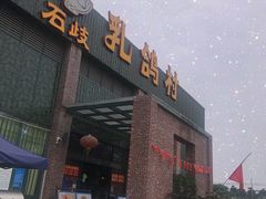 -石岐乳鸽村(南海第三分店)