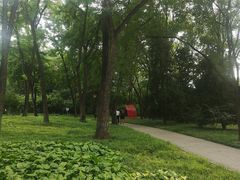-玲珑塔公园