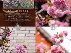 -北京颐和宾馆