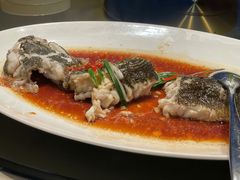 野葱麒麟蒸东星斑-粤界(望京金辉店)
