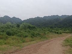 -沣峪口