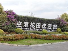 -空港花田景区