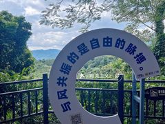 -呀诺达热带雨林