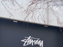 -STUSSY(狎鸥亭路46街店 )