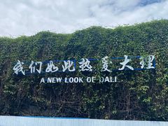 -崇圣寺三塔文化旅游区